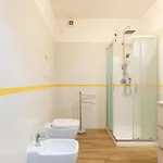 Ichnos Loft 55